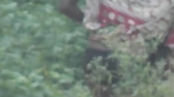 Wanita Desi Mengencing Dengan Gaya Yang Menggoda